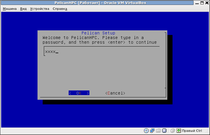 PelicanHPC [Работает] - Oracle VM VirtualBox_005.png